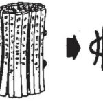 36959837_5