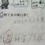 10张小学生试卷：绝对是天才，足足笑了5分钟！